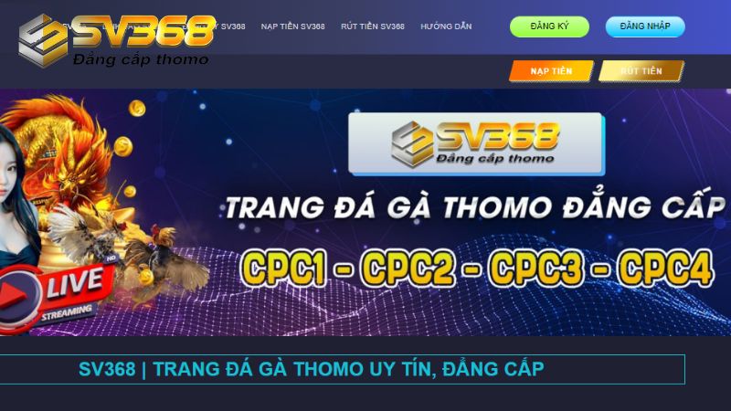 Người chơi truy cập link SV368 chính thống để thực hiện giao dịch